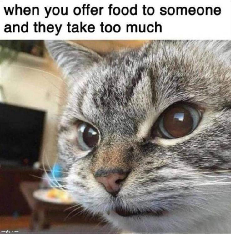 I never offer food anymore | image tagged in repost | made w/ Imgflip meme maker