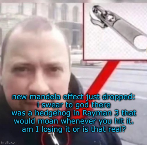 im not crazy right?? | new mandela effect just dropped:
i swear to god there was a hedgehog in Rayman 3 that would moan whenever you hit it.
am I losing it or is that real? | made w/ Imgflip meme maker