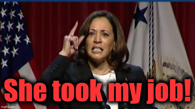 Kamala Angry | She took my job! | image tagged in kamala angry | made w/ Imgflip meme maker