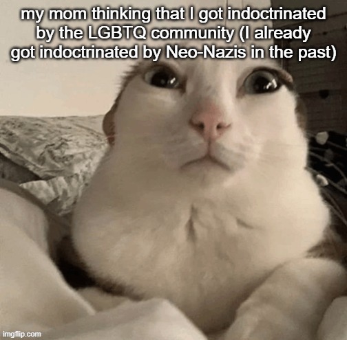 goober | my mom thinking that I got indoctrinated by the LGBTQ community (I already got indoctrinated by Neo-Nazis in the past) | image tagged in goober | made w/ Imgflip meme maker