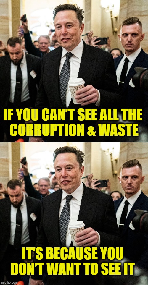 Still in denial | IF YOU CAN’T SEE ALL THE 
CORRUPTION & WASTE; IT'S BECAUSE YOU DON’T WANT TO SEE IT | image tagged in elon musk | made w/ Imgflip meme maker