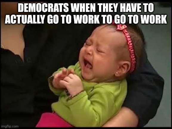 DEMOCRATS WHEN THEY HAVE TO ACTUALLY GO TO WORK TO GO TO WORK | image tagged in funny memes | made w/ Imgflip meme maker