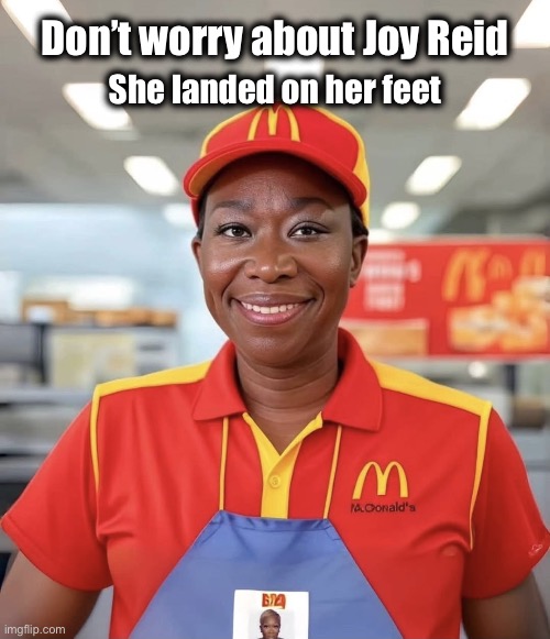 Race Hustler | Don’t worry about Joy Reid; She landed on her feet | image tagged in joy reid | made w/ Imgflip meme maker