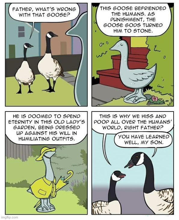 Answers why geese are jerks | image tagged in comics/cartoons | made w/ Imgflip meme maker