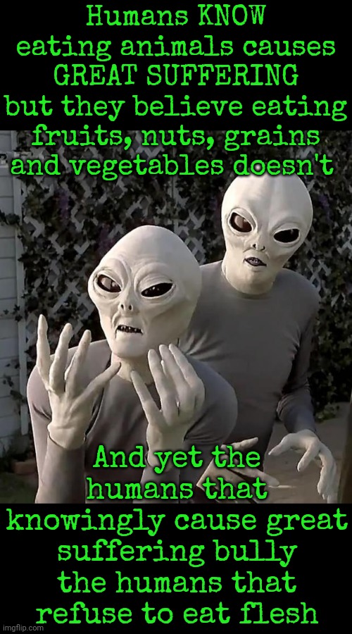 Only 15% Of People Living In India Eat Meat And India Is The Most Populated Place On Earth.  China Is The Second Most Populated | Humans KNOW eating animals causes
GREAT SUFFERING
but they believe eating fruits, nuts, grains and vegetables doesn't; And yet the humans that knowingly cause great suffering bully the humans that refuse to eat flesh | image tagged in aliens,carnivores,vegetarians,bullies,morals,memes | made w/ Imgflip meme maker