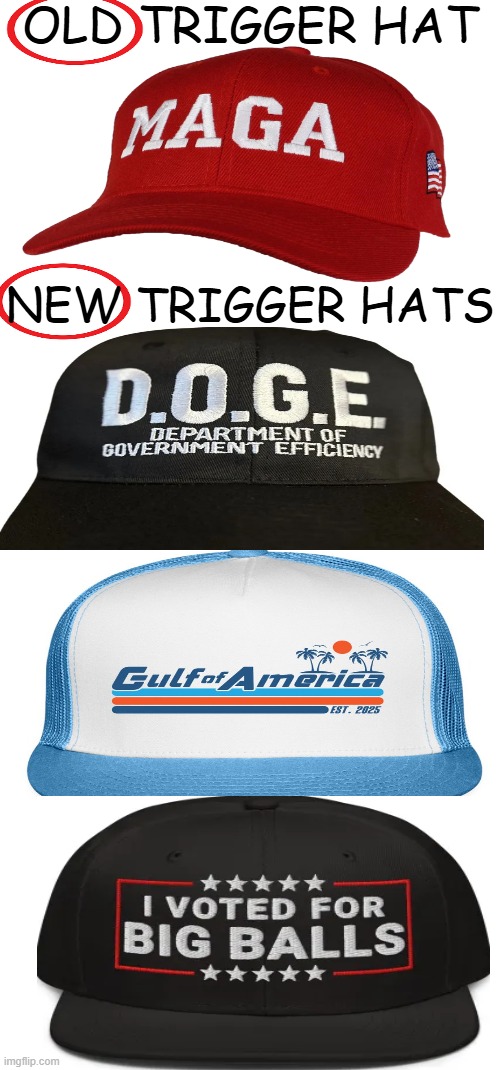 Trump AND Musk Derangement Syndrome | OLD TRIGGER HAT; NEW TRIGGER HATS | image tagged in triggered,liberals,words that offend liberals,donald trump,elon musk,crying democrats | made w/ Imgflip meme maker