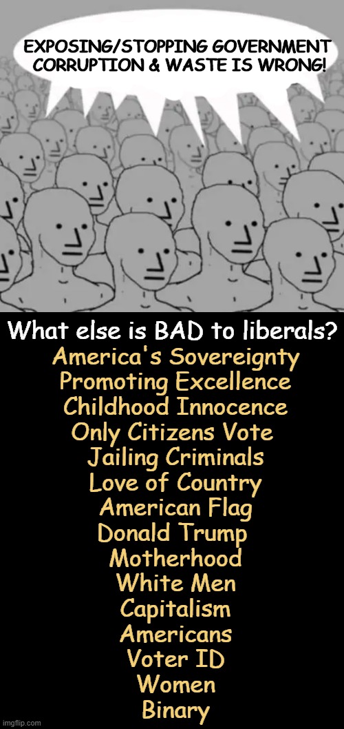 A Parallel Universe | EXPOSING/STOPPING GOVERNMENT 
CORRUPTION & WASTE IS WRONG! What else is BAD to liberals? America's Sovereignty
Promoting Excellence
Childhood Innocence
Only Citizens Vote 
Jailing Criminals
Love of Country
American Flag
Donald Trump 
Motherhood
White Men
Capitalism
Americans
Voter ID
Women
Binary | image tagged in democrats,doge,democrats oppose government efficiency,good vs evil,parallel universe,opposite | made w/ Imgflip meme maker