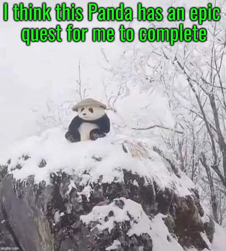 Quest to complete | I think this Panda has an epic 
quest for me to complete | image tagged in gaming | made w/ Imgflip meme maker