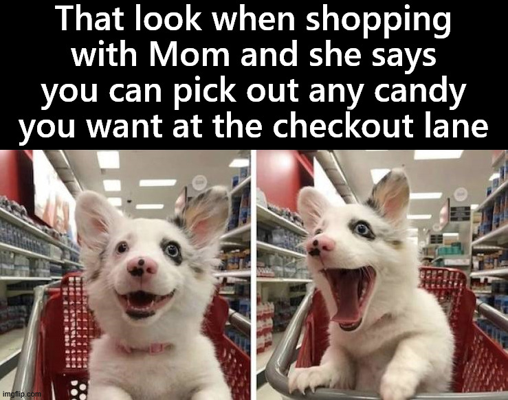 When you were good that one day | That look when shopping with Mom and she says you can pick out any candy you want at the checkout lane | image tagged in candy,shopping,mom,good times | made w/ Imgflip meme maker