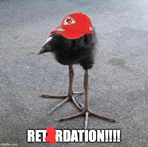 Pukeko chick | RETARDATION!!!! | image tagged in pukeko chick | made w/ Imgflip meme maker