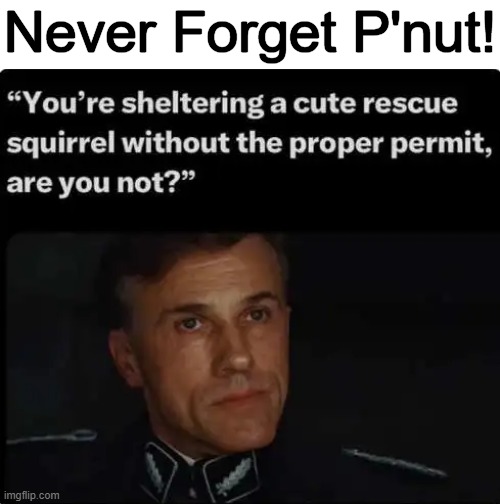 GONE but Not Forgotten! | Never Forget P'nut! | image tagged in squirrel,p'nut,peanut,corruption,bureaucracy,dead | made w/ Imgflip meme maker