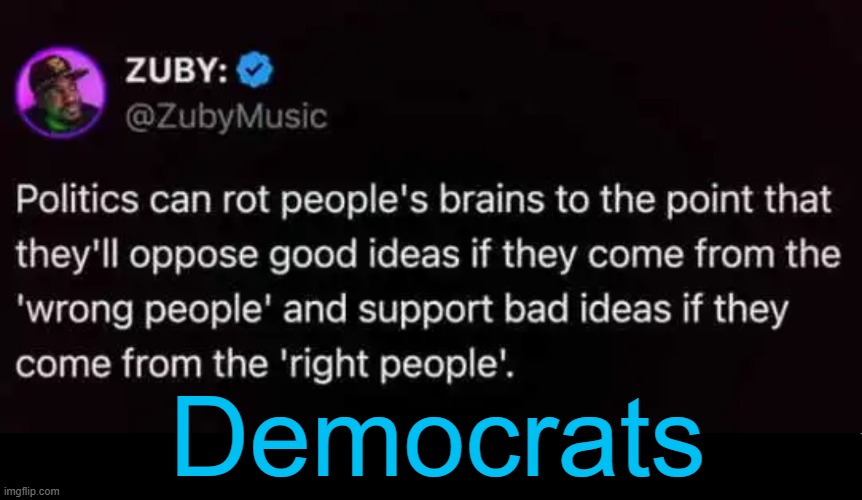 The truth . . . | Democrats | image tagged in true,comment,politics,so true meme,brainrot,democrats | made w/ Imgflip meme maker