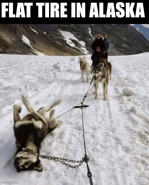 Flat Tire In Alaska | FLAT TIRE IN ALASKA | image tagged in chris joines | made w/ Imgflip meme maker
