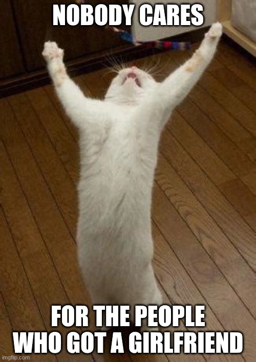 Hooray Cat | NOBODY CARES; FOR THE PEOPLE WHO GOT A GIRLFRIEND | image tagged in hooray cat | made w/ Imgflip meme maker