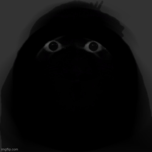 Angry Munci | image tagged in angry munci,msmg | made w/ Imgflip meme maker