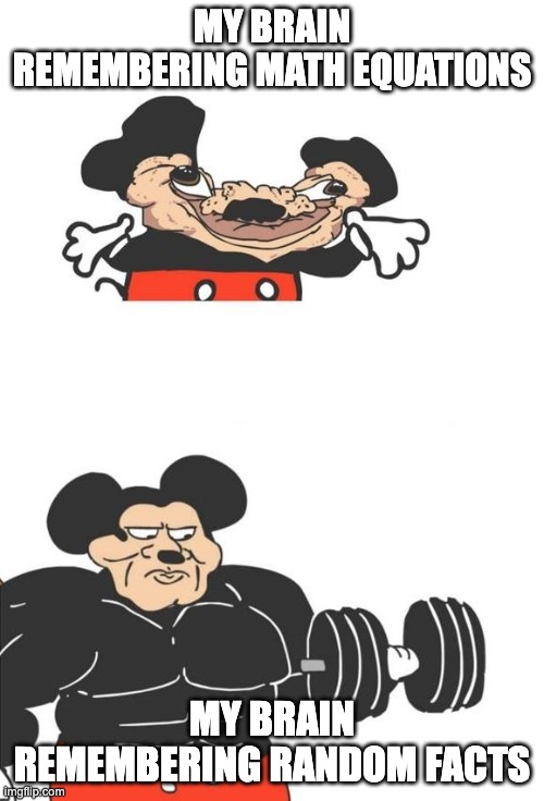 Buff Mickey Mouse | MY BRAIN REMEMBERING MATH EQUATIONS; MY BRAIN REMEMBERING RANDOM FACTS | image tagged in buff mickey mouse | made w/ Imgflip meme maker