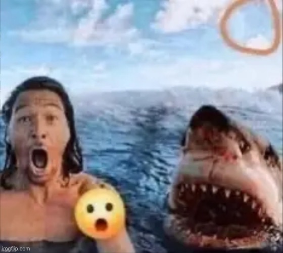 Shark | image tagged in shark | made w/ Imgflip meme maker