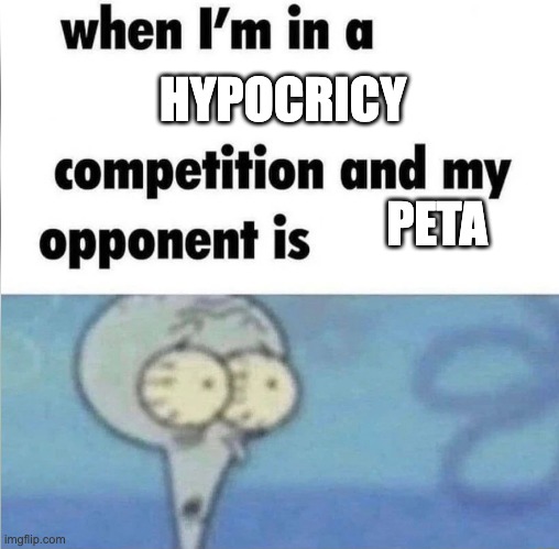 whe i'm in a competition and my opponent is | HYPOCRICY; PETA | image tagged in whe i'm in a competition and my opponent is | made w/ Imgflip meme maker