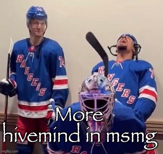 Half of the day it’s bingos and hivemind the other half it’s flame wars | More hivemind in msmg | image tagged in ryan reaves | made w/ Imgflip meme maker