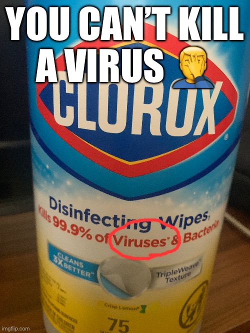 YOU CAN’T KILL A VIRUS 🤦‍♂️ | made w/ Imgflip meme maker