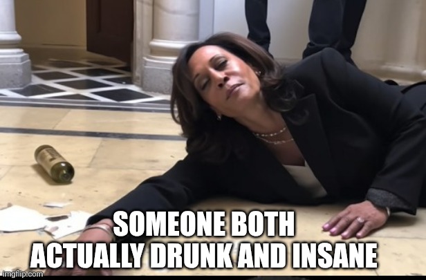 drunk kamala | SOMEONE BOTH ACTUALLY DRUNK AND INSANE | image tagged in drunk kamala | made w/ Imgflip meme maker