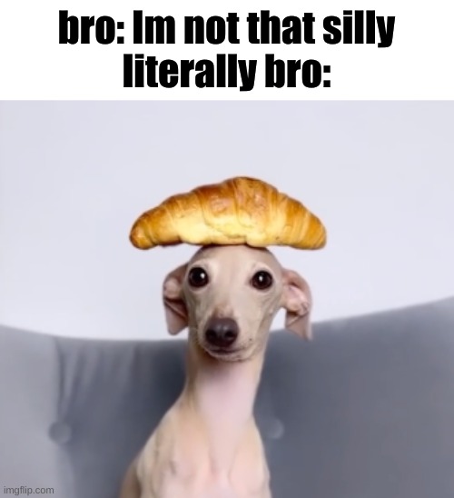 Croissant Dog | bro: Im not that silly

literally bro: | image tagged in croissant dog | made w/ Imgflip meme maker