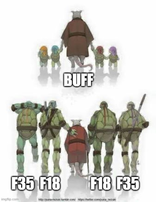 Old splinter tmnt | BUFF; F35  F18           F18  F35 | image tagged in old splinter tmnt | made w/ Imgflip meme maker