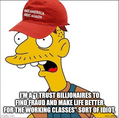 Gullible isn't in the dictionary | I'M A "I TRUST BILLIONAIRES TO FIND FRAUD AND MAKE LIFE BETTER FOR THE WORKING CLASSES" SORT OF IDIOT. | image tagged in some kind of maga moron,gullible,elon musk,donald trump,doge | made w/ Imgflip meme maker