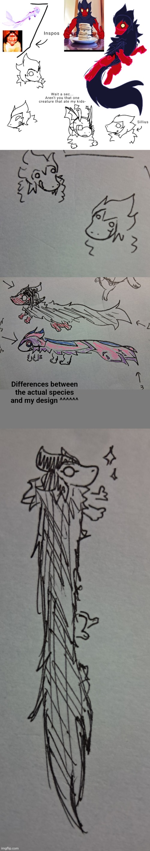 Few more doodles from this silly lil guy | Differences between the actual species and my design ^^^^^^ | made w/ Imgflip meme maker