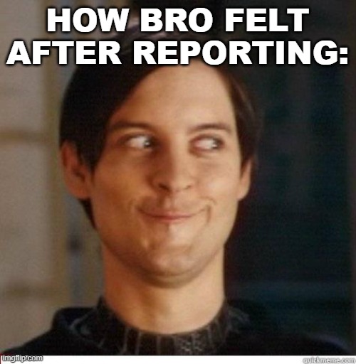 Toby Maguire | HOW BRO FELT AFTER REPORTING: | image tagged in toby maguire | made w/ Imgflip meme maker