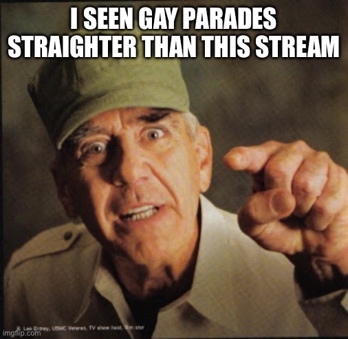 Military | I SEEN GAY PARADES STRAIGHTER THAN THIS STREAM | image tagged in military | made w/ Imgflip meme maker