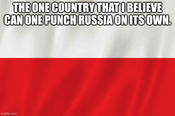 Polska | THE ONE COUNTRY THAT I BELIEVE CAN ONE PUNCH RUSSIA ON ITS OWN. | image tagged in poland | made w/ Imgflip meme maker