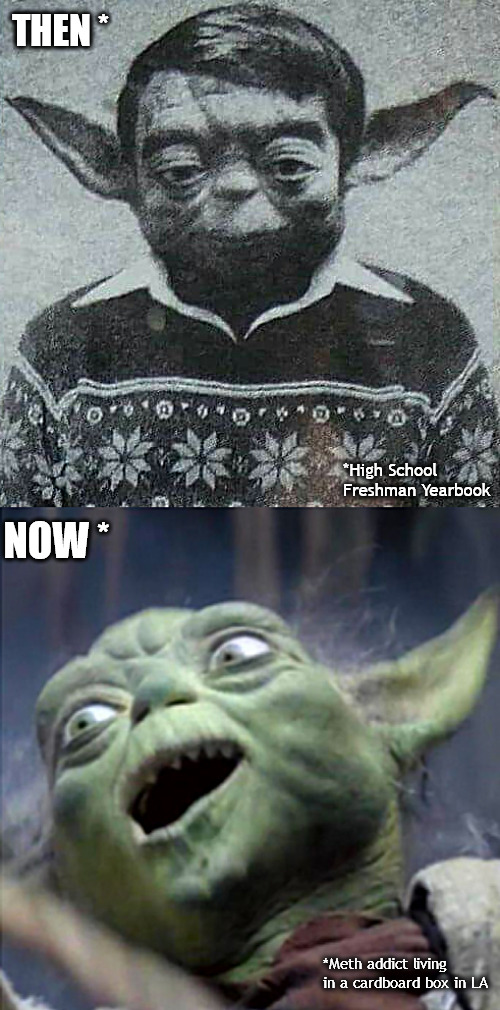 Star War Celebs: Where are they now? | THEN *; *High School Freshman Yearbook; NOW *; *Meth addict living in a cardboard box in LA | image tagged in memes,star wars,dark humor | made w/ Imgflip meme maker