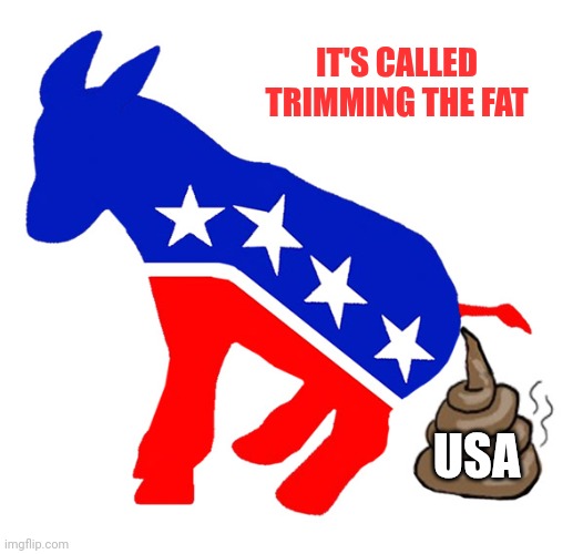 Democrat donkey pooping | IT'S CALLED TRIMMING THE FAT USA | image tagged in democrat donkey pooping | made w/ Imgflip meme maker
