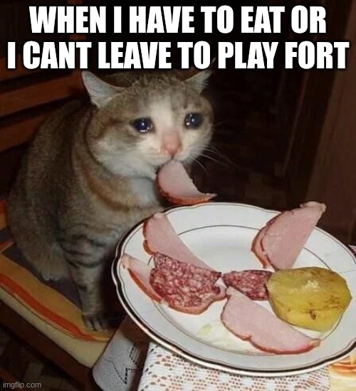 MOM I WANT TO PLAY NOW | WHEN I HAVE TO EAT OR I CANT LEAVE TO PLAY FORT | image tagged in crying cat meme,funny | made w/ Imgflip meme maker