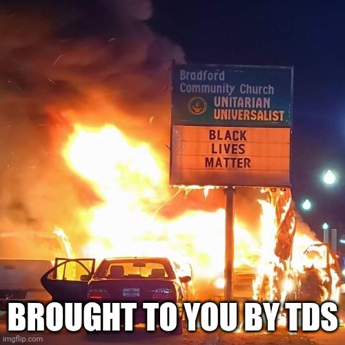 Black Lives Matter | BROUGHT TO YOU BY TDS | image tagged in black lives matter | made w/ Imgflip meme maker