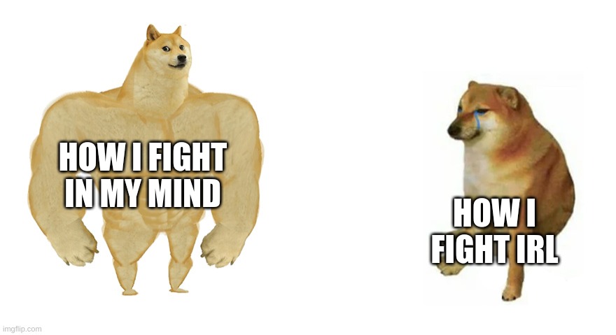 Buff Doge vs Crying Cheems | HOW I FIGHT IN MY MIND; HOW I FIGHT IRL | image tagged in buff doge vs crying cheems | made w/ Imgflip meme maker