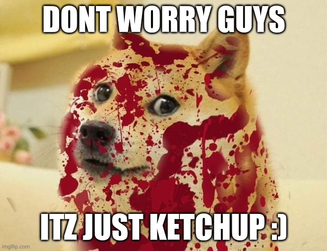 Bloody doge | DONT WORRY GUYS; ITZ JUST KETCHUP :) | image tagged in bloody doge | made w/ Imgflip meme maker