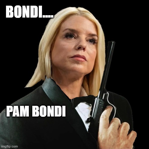 BONDI.... PAM BONDI | made w/ Imgflip meme maker