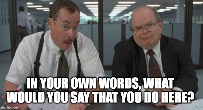 office space what do you do here | IN YOUR OWN WORDS, WHAT WOULD YOU SAY THAT YOU DO HERE? | image tagged in office space what do you do here | made w/ Imgflip meme maker