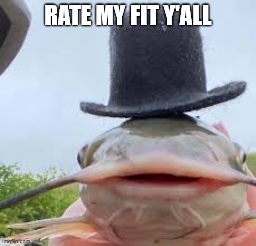 fish | RATE MY FIT Y'ALL | image tagged in fish | made w/ Imgflip meme maker