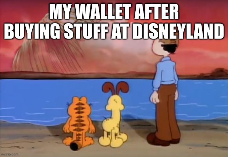 Wallet... | MY WALLET AFTER BUYING STUFF AT DISNEYLAND | image tagged in end of garfield | made w/ Imgflip meme maker