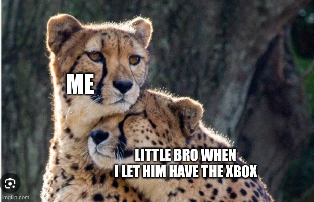 Not good for me | ME; LITTLE BRO WHEN I LET HIM HAVE THE XBOX | image tagged in cheetah | made w/ Imgflip meme maker