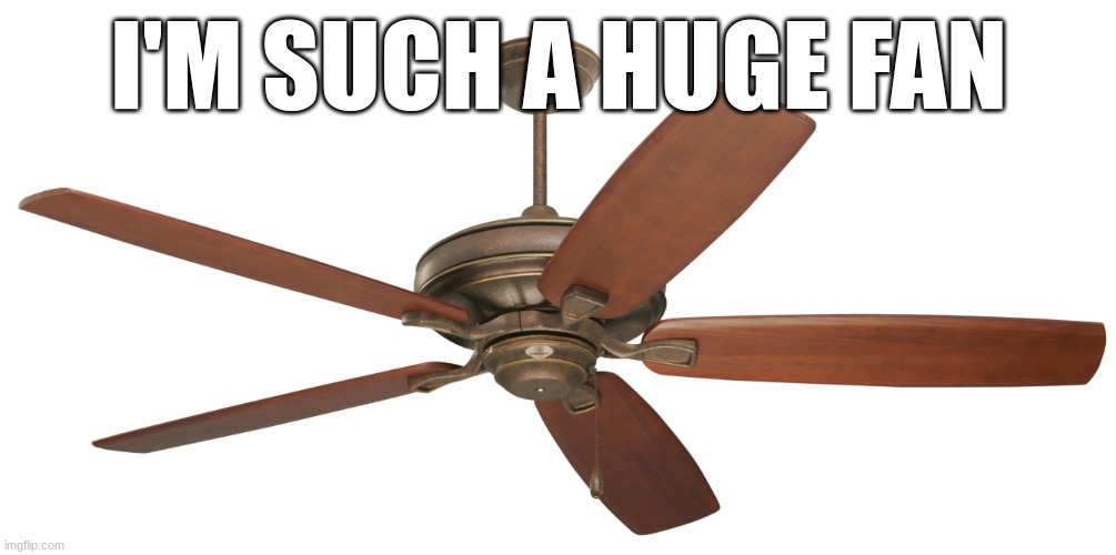 Ceiling fan | I'M SUCH A HUGE FAN | image tagged in ceiling fan | made w/ Imgflip meme maker