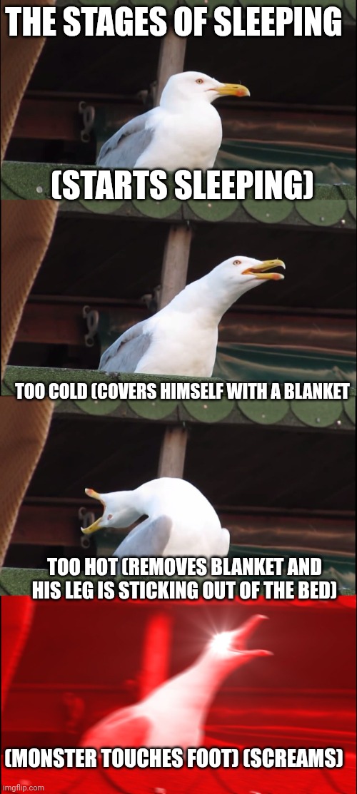 The stages of sleeping | THE STAGES OF SLEEPING; (STARTS SLEEPING); TOO COLD (COVERS HIMSELF WITH A BLANKET; TOO HOT (REMOVES BLANKET AND HIS LEG IS STICKING OUT OF THE BED); (MONSTER TOUCHES FOOT) (SCREAMS) | image tagged in memes,inhaling seagull | made w/ Imgflip meme maker