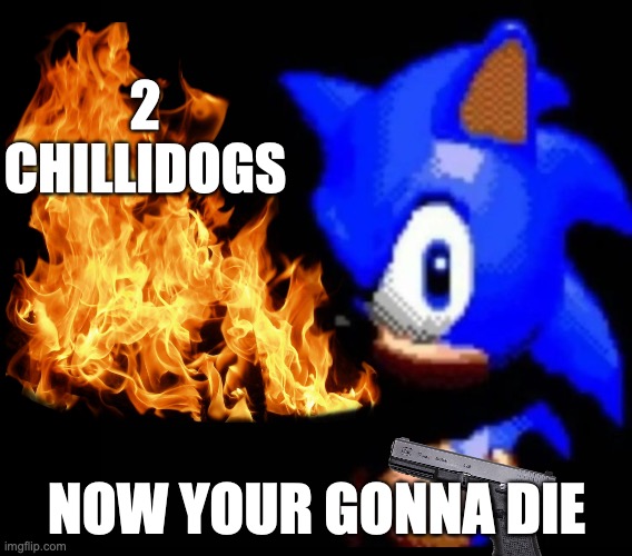 coming to your house | 2 CHILLIDOGS; NOW YOUR GONNA DIE | image tagged in sonic stares | made w/ Imgflip meme maker