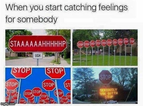 image tagged in stop,stahp,memes,funny,stopsign | made w/ Imgflip meme maker