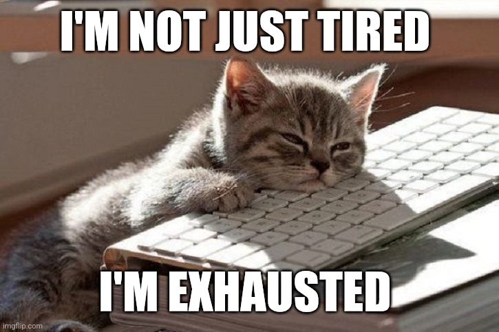 Tired | I'M NOT JUST TIRED; I'M EXHAUSTED | image tagged in too tired,funny memes | made w/ Imgflip meme maker