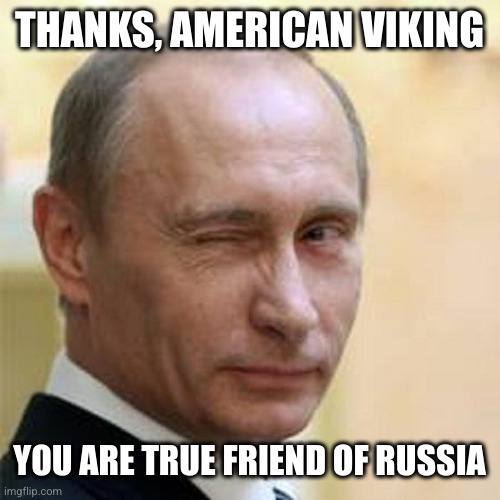 THANKS, AMERICAN VIKING YOU ARE TRUE FRIEND OF RUSSIA | image tagged in putin winking | made w/ Imgflip meme maker