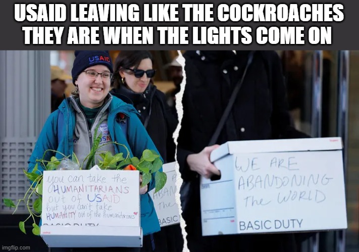 Another DEI Defeat | USAID LEAVING LIKE THE COCKROACHES THEY ARE WHEN THE LIGHTS COME ON | image tagged in like cockroachs when the light comes on | made w/ Imgflip meme maker